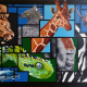 African Animals acrylic painting