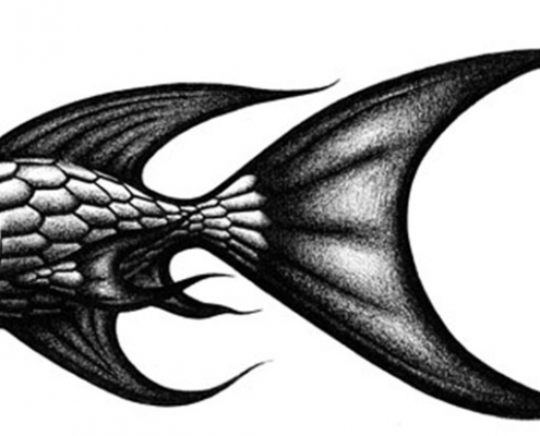 Squishy Fishy illustration