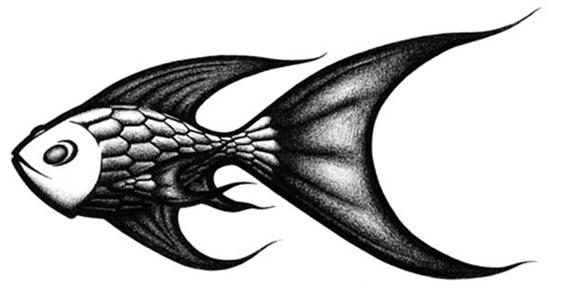 Squishy Fishy illustration